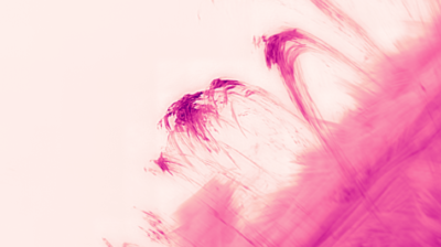 Coronal adaptive optics reveal most detailed coronal images to date