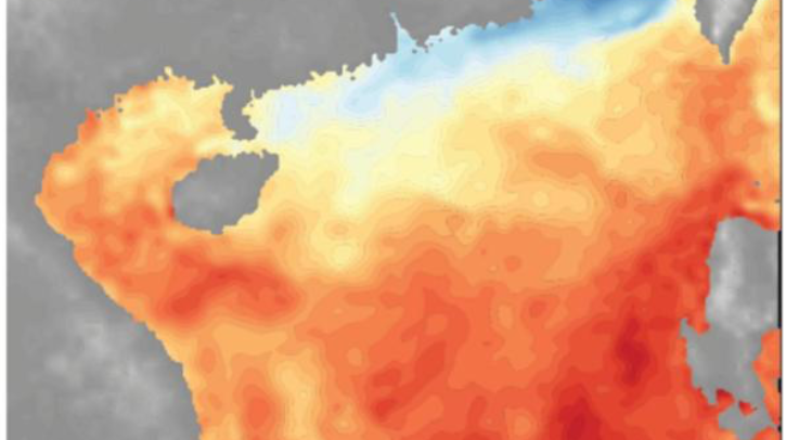 Researchers develop extended CNOP deep-learning atmospheric and oceanic forecasting method A heat map graph shows the sea temperature in the South China Sea.