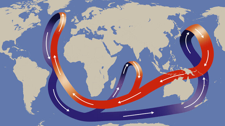 Study reveals slowing Atlantic current could almost halve rainfall in Amazon Thermohaline circulation (THC) ,Conveyor belt