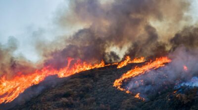 Climate change driving more intense wildfires, report warns