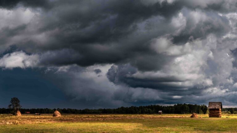 Storm clouds build over a grassland landscape.