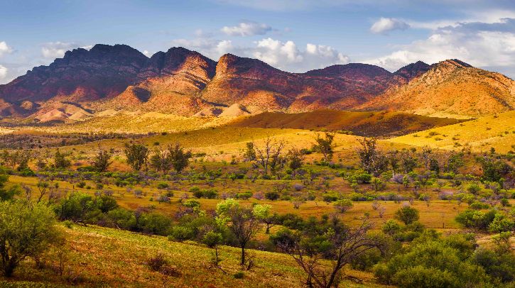 Australia records fourth-warmest year in 2025, Bureau of Meteorology says A scenic shot of the Australian Outback with some bushes in teh foreground, dry grass and rolling hills and peaks in the distance.