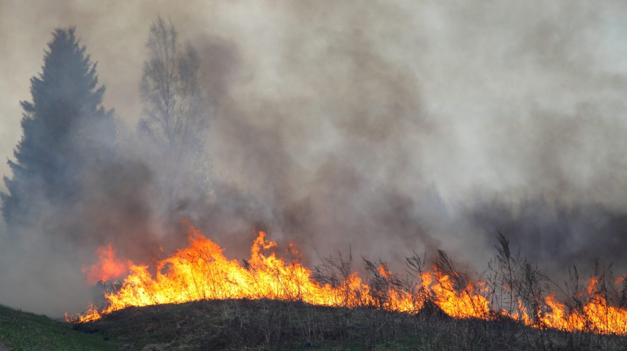 European Commission sets out strategy to address growing wildfire risk ...