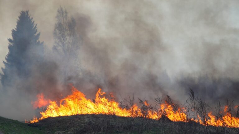 European Commission sets out strategy to address growing wildfire risk A wildfire risk burns with flames and smoke reaching high into the sky.