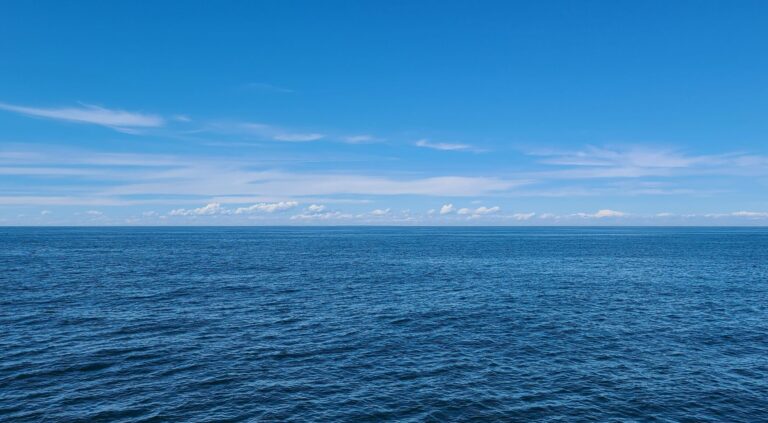 WMO signals increasing likelihood of El Niño developing in 2026.