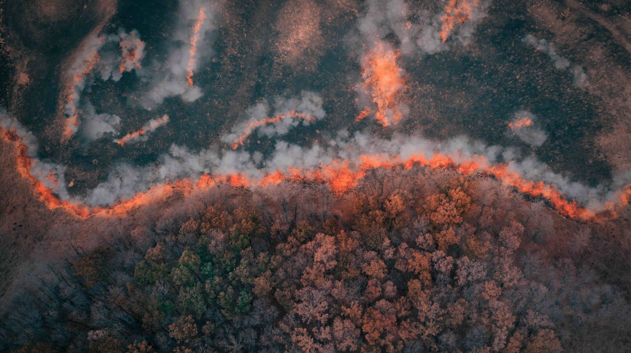 AI model improves real-time prediction of wildfire spread ...