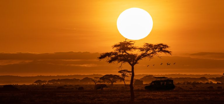 The sun sets over an African landscape, with tree silhouettes in the foreground and clouds in the distance.