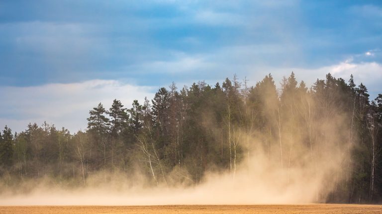A dust storm in dry fields blow dust in the air, with a line of trees in the background.