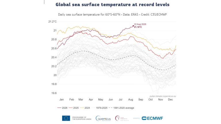 Copernicus: daily global sea-surface temperature reaches highest level on record Copernicus: daily global sea surface temperature reaches highest level on record.