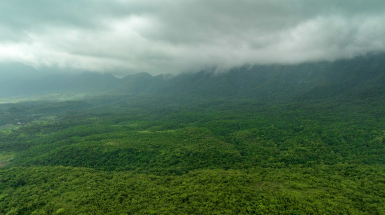 India outlines steps to advance monsoon science and forecasting Rain clouds moving over a green rural landscape in India.