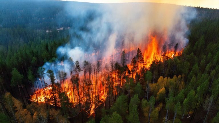 WMO bulletin warns rising wildfire and heatwave pollution threatens air quality gains Aerial view of wildfire with a piece of forest land burning.