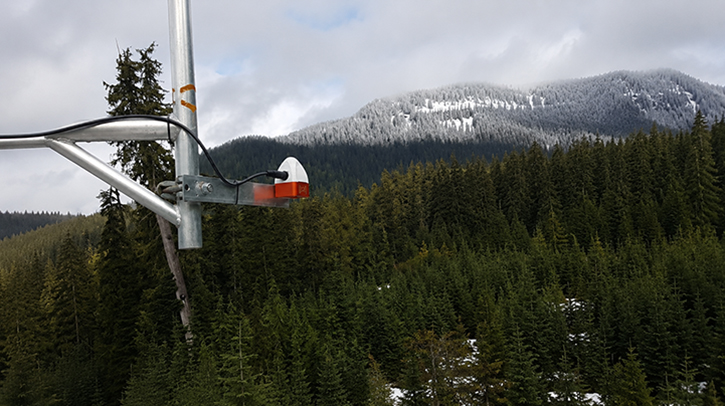 FEATURE: Preparing snow depth stations for winter A snow depth sensor in a remote rural location with a mountain and trees in the background.